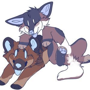 Meet your Posher, Zachary